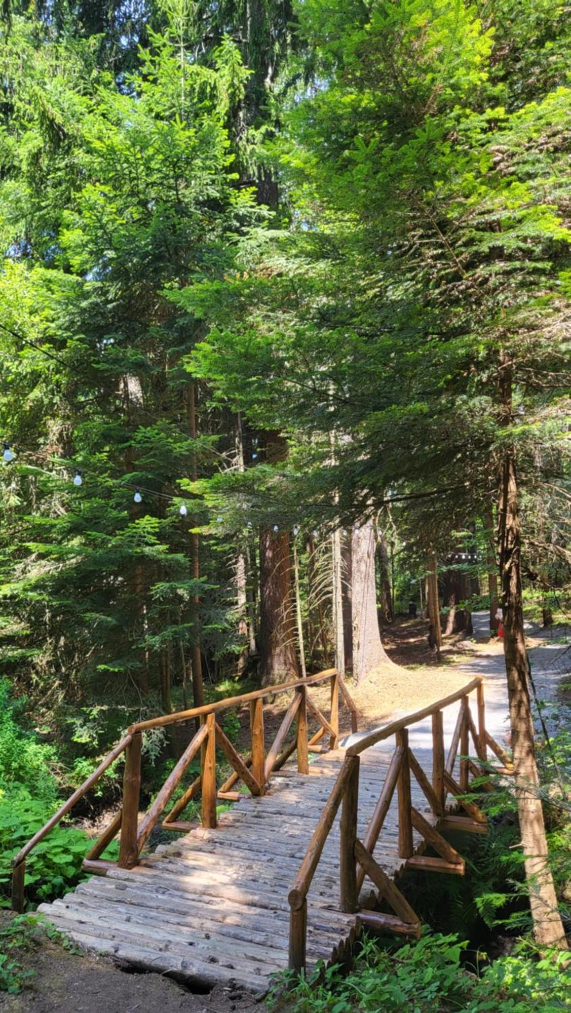 Pinewood Ang Luxurious Apartment A43, Borovets Gardens Екстер'єр фото