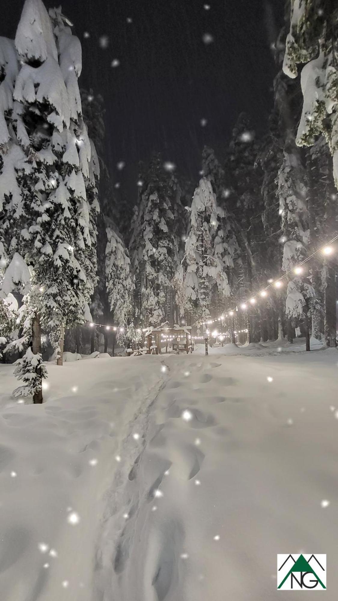 Pinewood Ang Luxurious Apartment A43, Borovets Gardens Екстер'єр фото